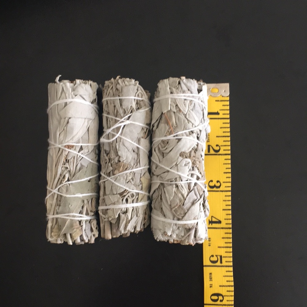 🍃3pk California White Sage - Picture 2 of 4